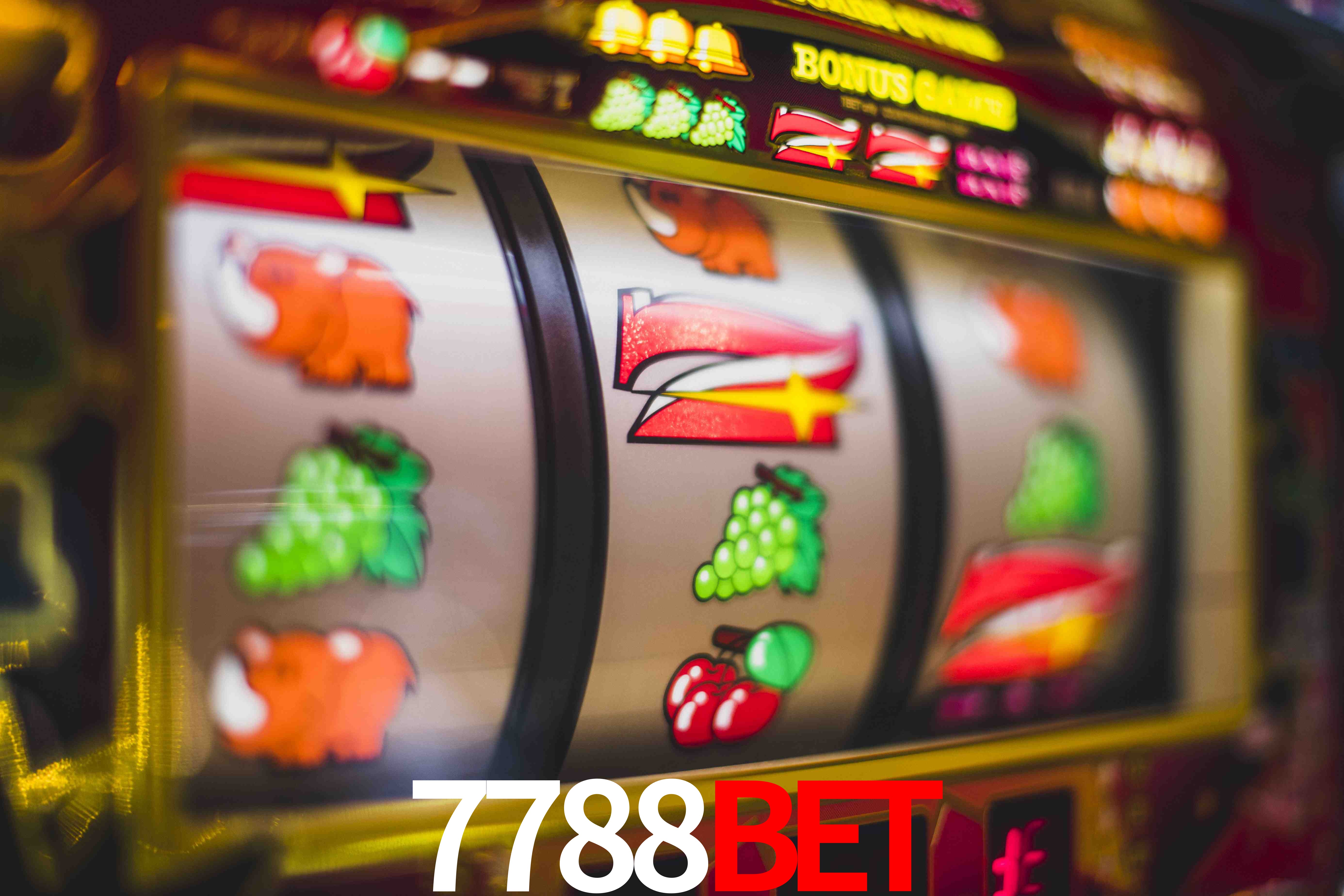 Experiência VIP 7788bet